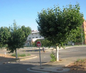 Carretera-A-1504-km-48-Cruce-de-la-anciana