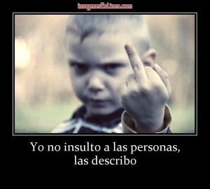 18212_yo-no-insulto-a-las-personas-las-describo