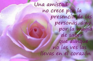 una-amistad-no-crece2