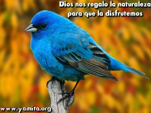 Dios nos regalo la naturaleza para que la disfrutemos