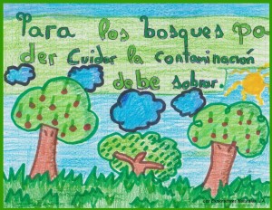 cuidar-los-bosques1