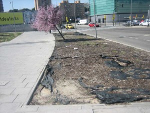 Zaragoza.-Un-jardin-peculiar