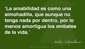 La-amabilidad-es-como-una-almohadilla-que-aunque-no-tenga-nada-por-dentro-por-lo-menos-amortigua-los-embates-de-la-vida