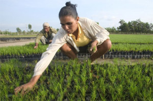 mujeres-del-campo