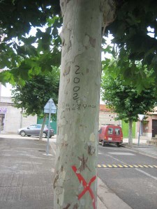 arbol-cifrado