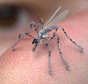 mosquito dron