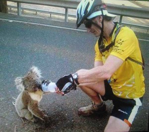 ciclisa-australiano-dando-beber-koala