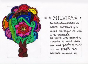 milvida-g15